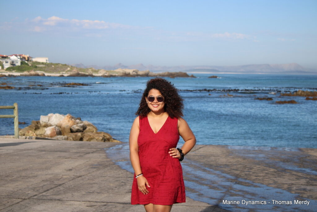 Shark cage diving, South Africa, Gansbaai
