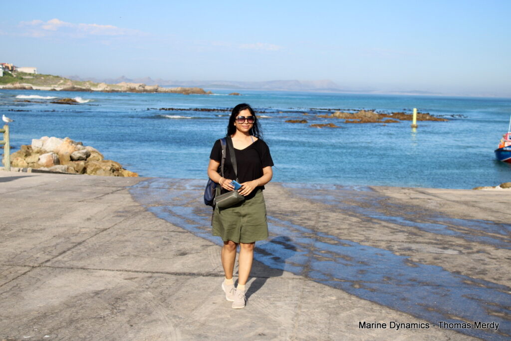 Shark cage diving, South Africa, Gansbaai