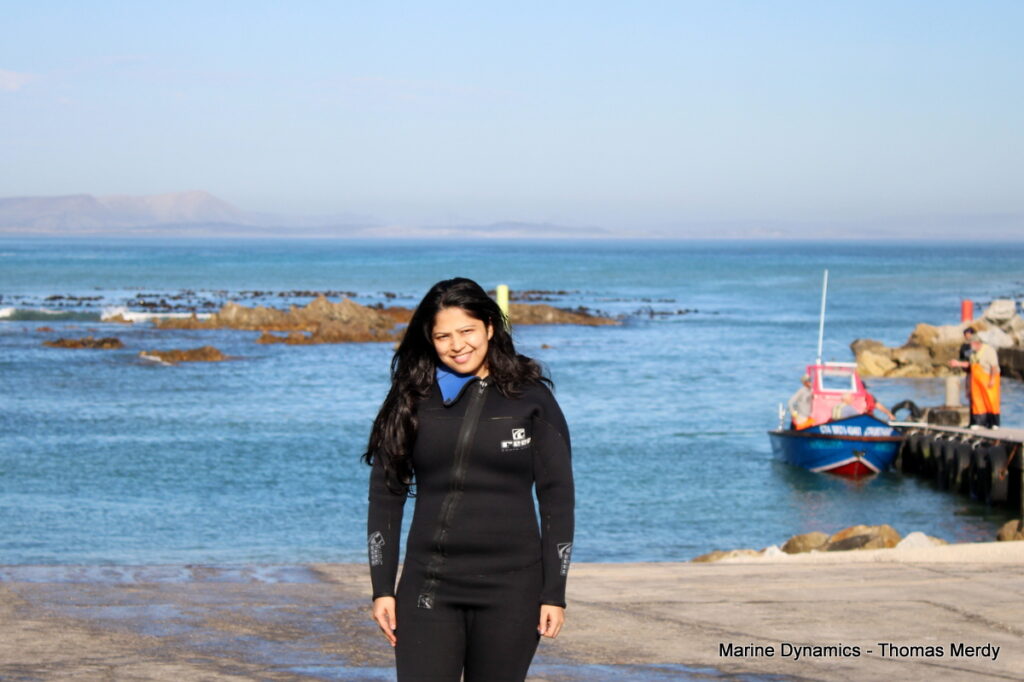 Shark cage diving, South Africa, Gansbaai