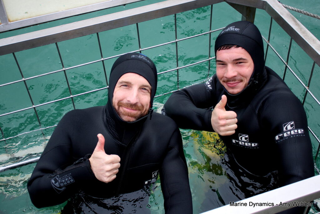 Gansbaai, South Africa, Shark cage diving