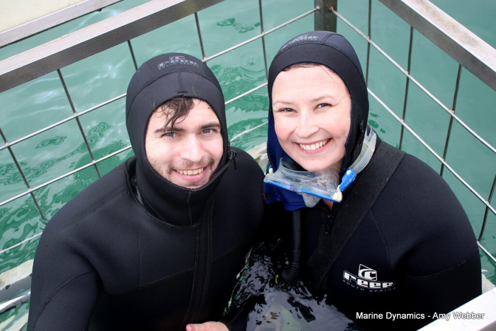 Gansbaai, South Africa, Shark cage diving