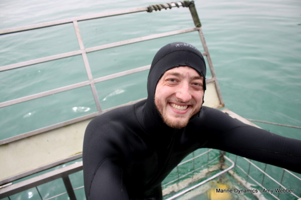 Gansbaai, South Africa, Shark cage diving