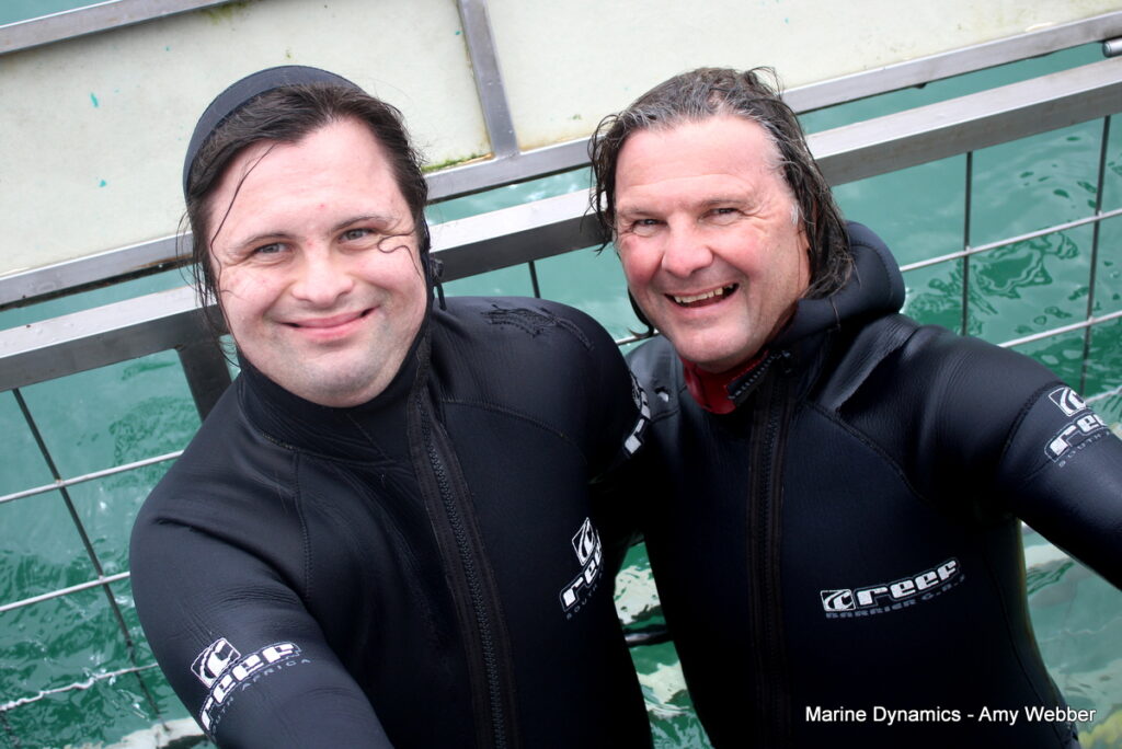 Gansbaai, South Africa, Shark cage diving