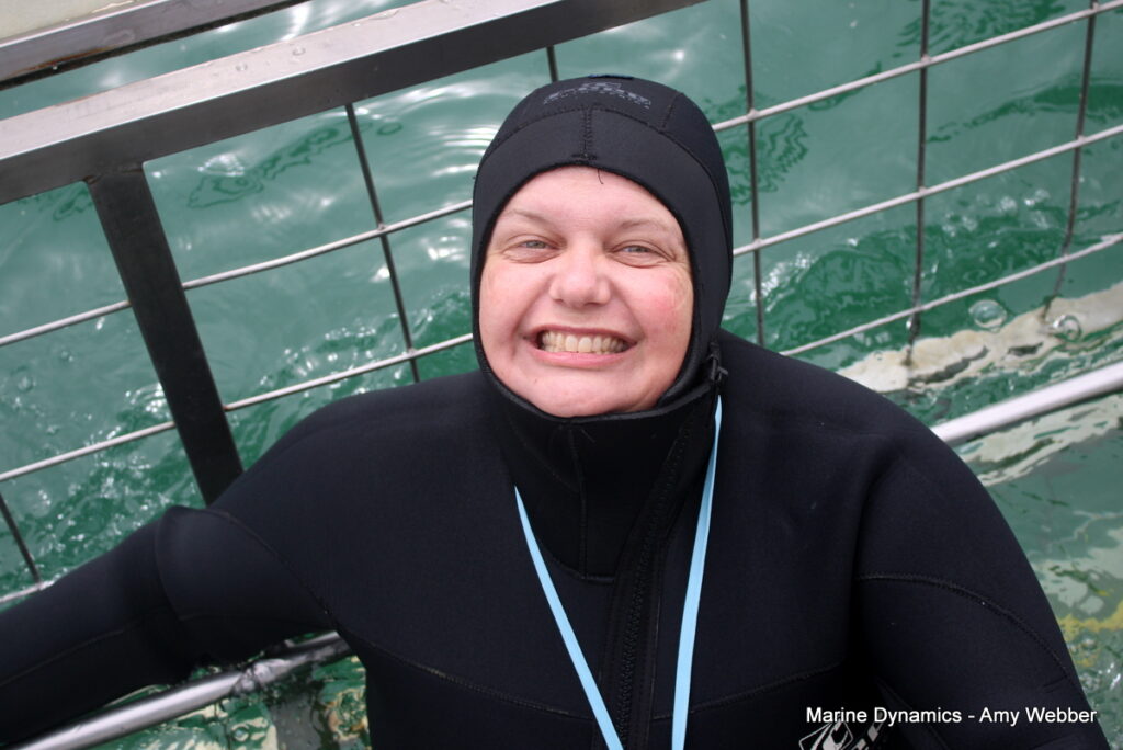 Gansbaai, South Africa, Shark cage diving