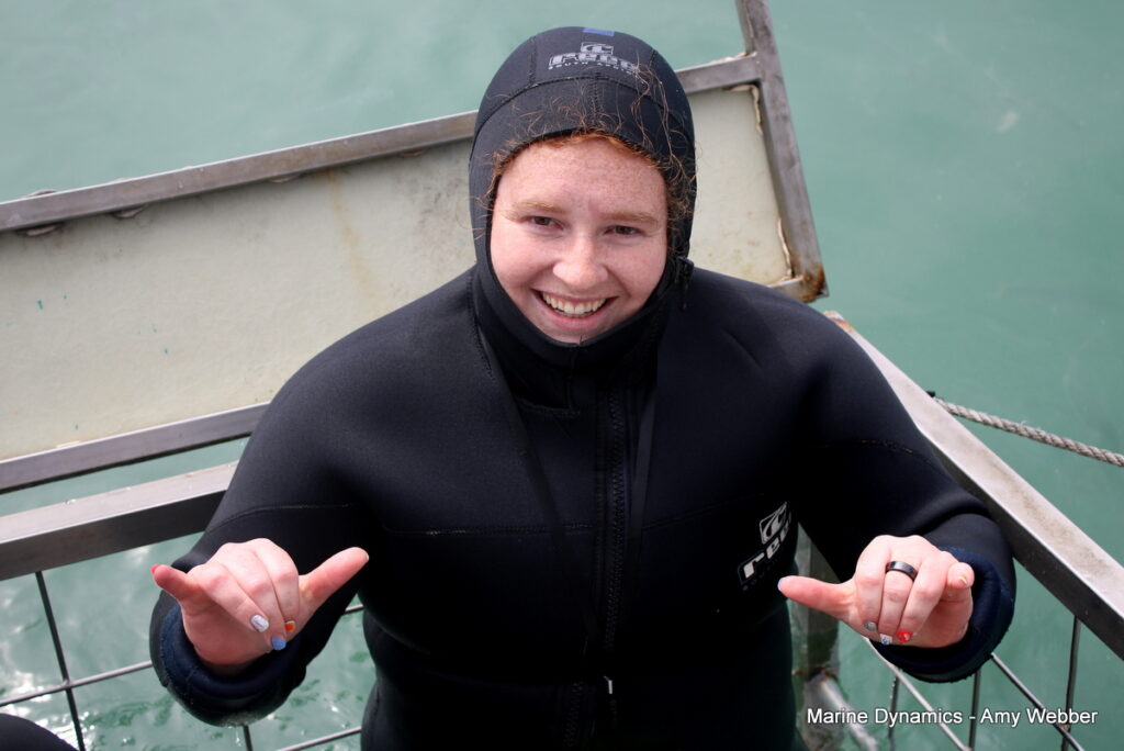 Gansbaai, South Africa, Shark cage diving