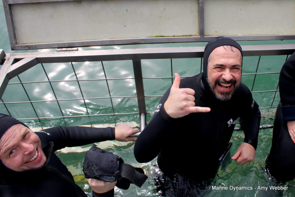 Gansbaai, South Africa, Shark cage diving