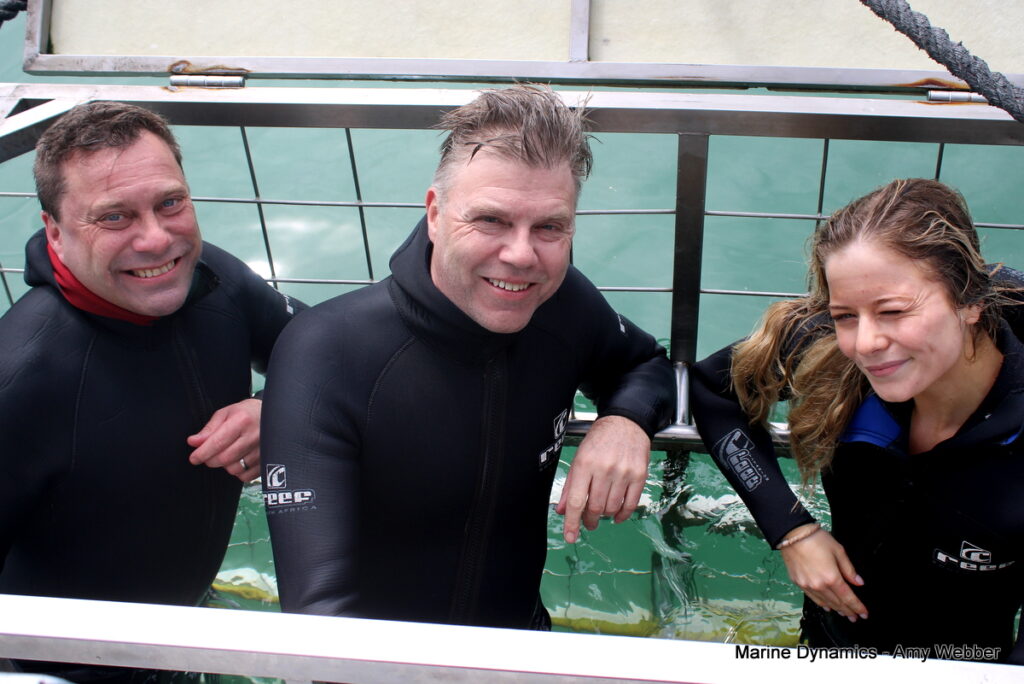 Gansbaai, South Africa, Shark cage diving