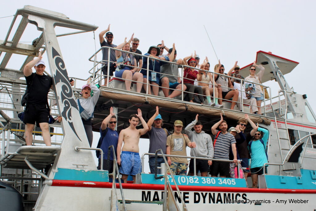 Gansbaai, South Africa, Shark cage diving