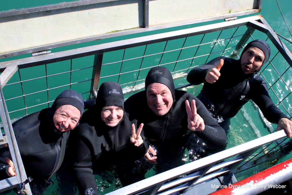 Shark cage diving, Gansbaai, South Africa