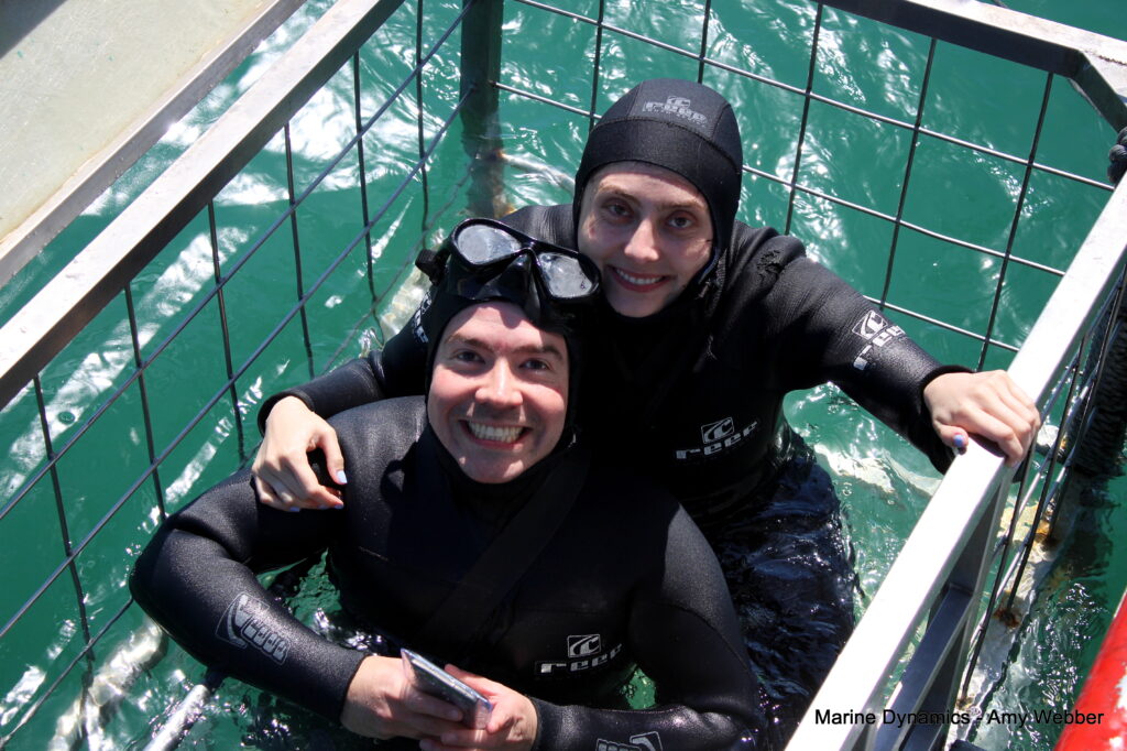 Shark cage diving, Gansbaai, South Africa
