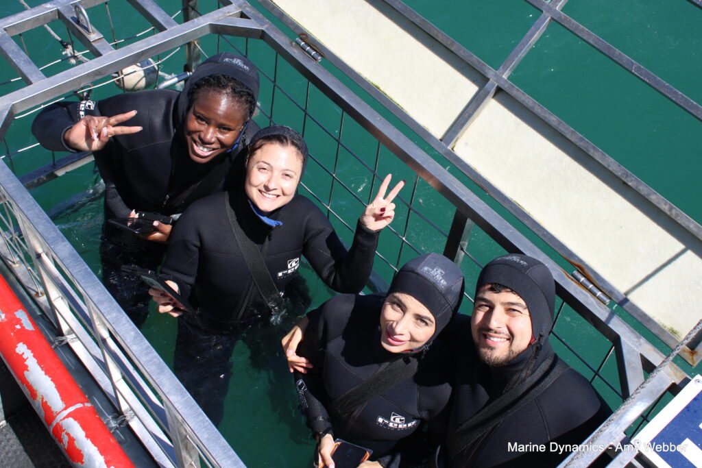 Shark cage diving, Gansbaai, South Africa