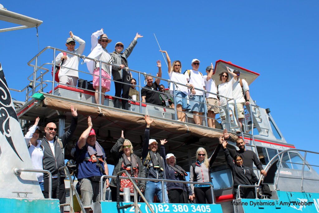 Shark cage diving, Gansbaai, South Africa
