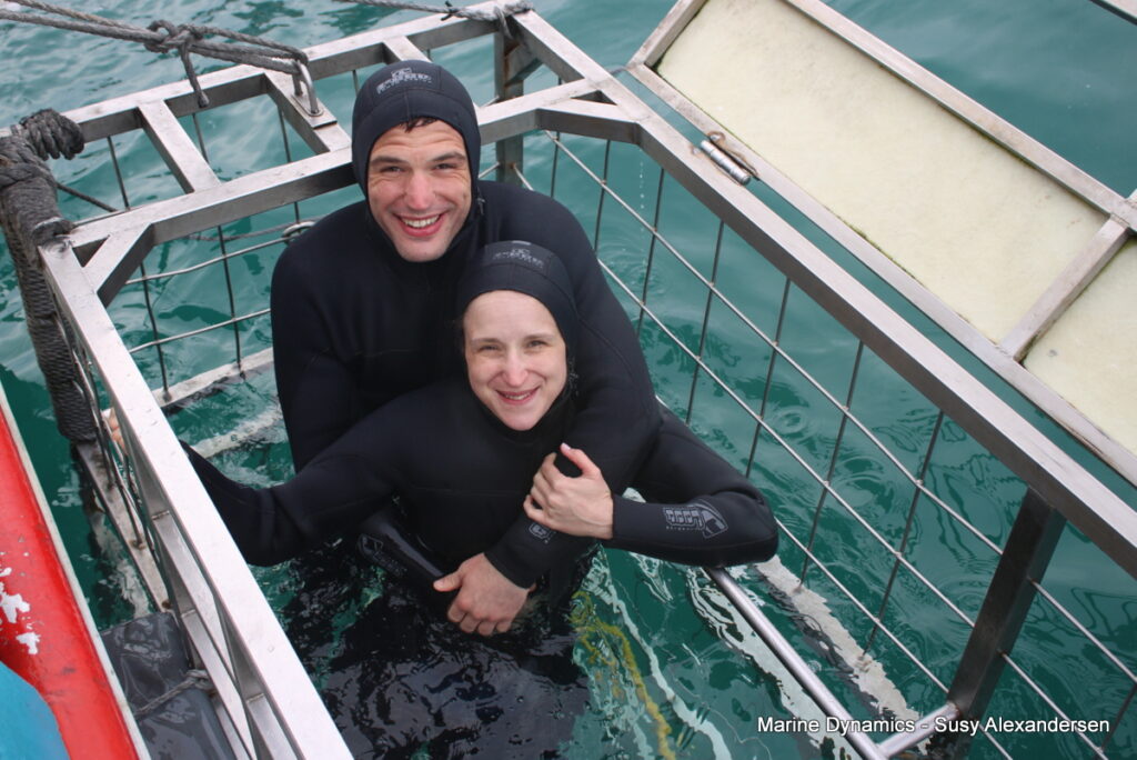 Shark cage diving, Gansbaai, South Africa