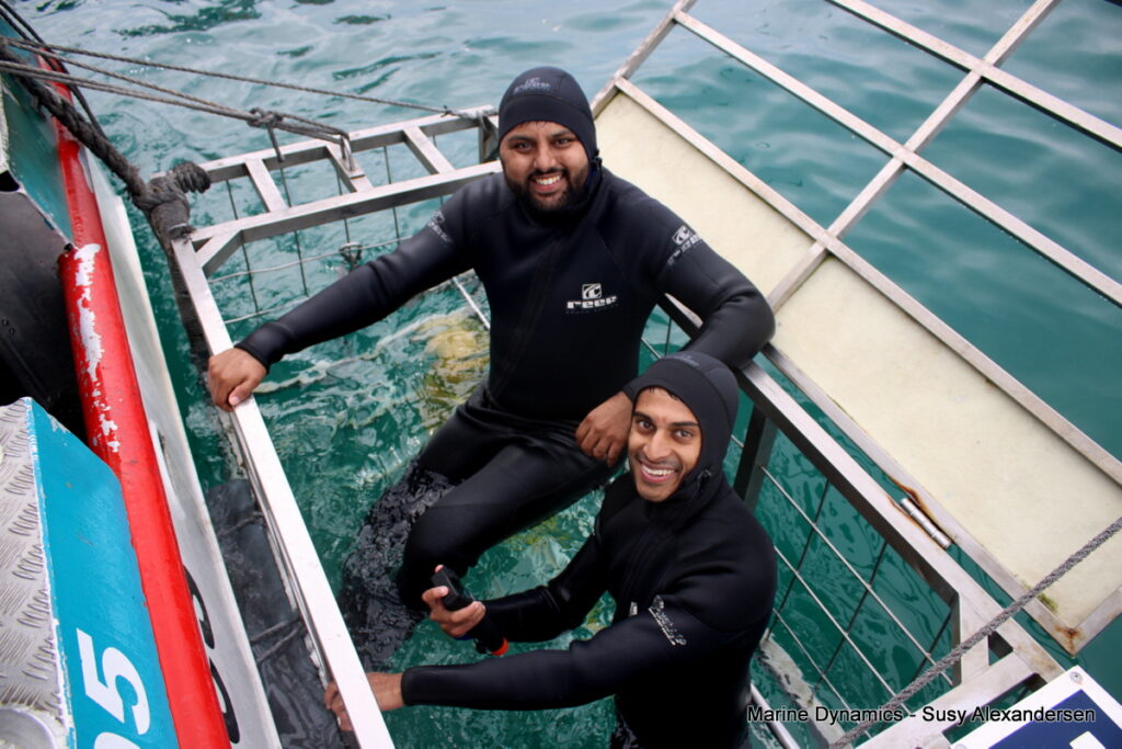 Shark cage diving, Gansbaai, South Africa
