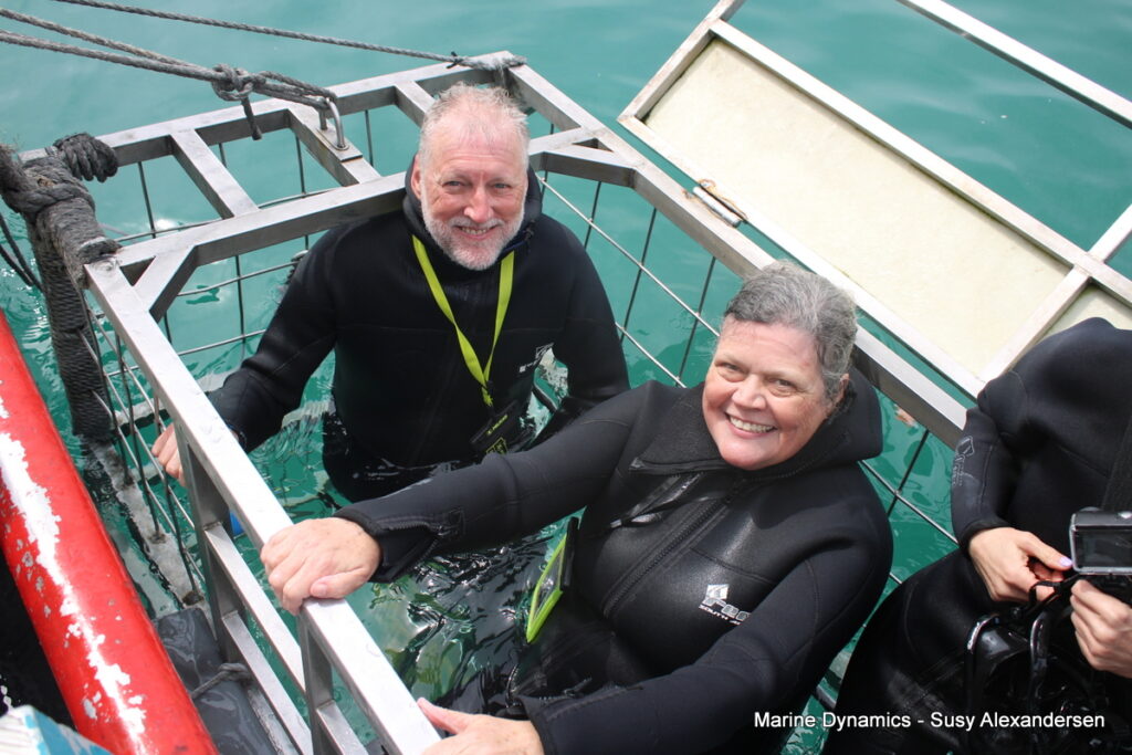 Shark cage diving, Gansbaai, South Africa