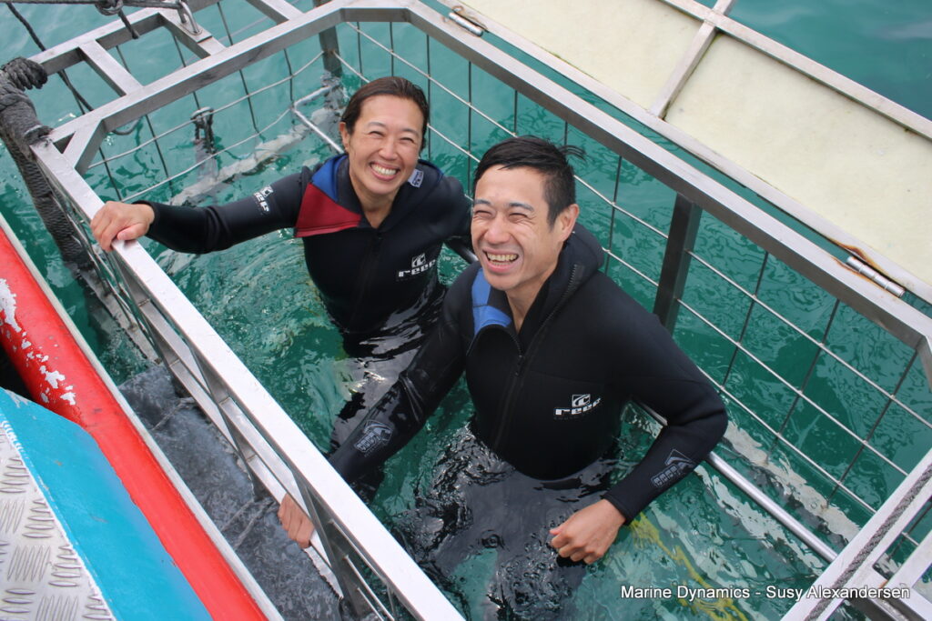 Shark cage diving, Gansbaai, South Africa