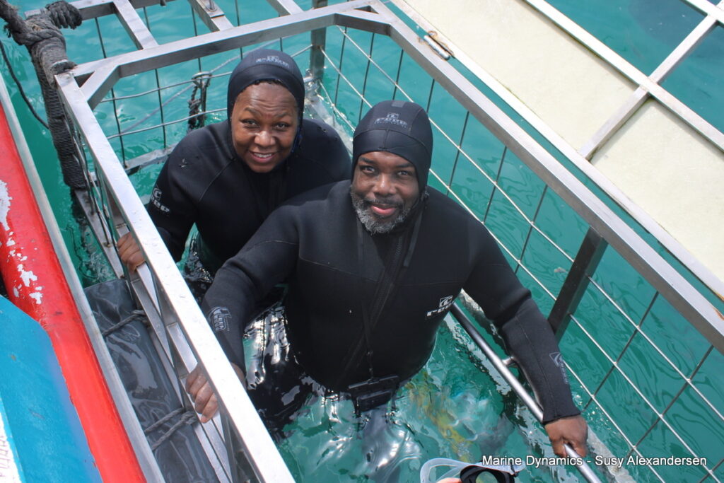 Shark cage diving, Gansbaai, South Africa