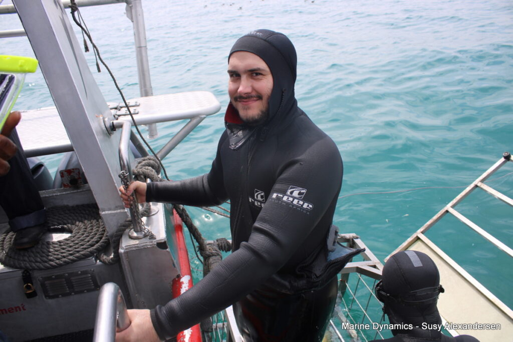 Shark cage diving, Gansbaai, South Africa