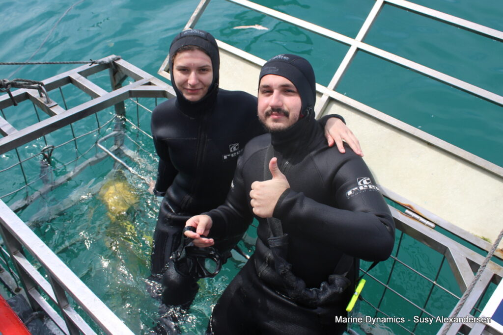 Shark cage diving, Gansbaai, South Africa