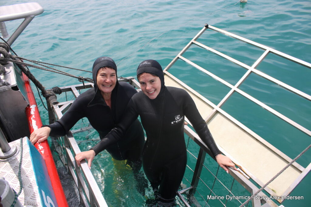 Shark cage diving, Gansbaai, South Africa