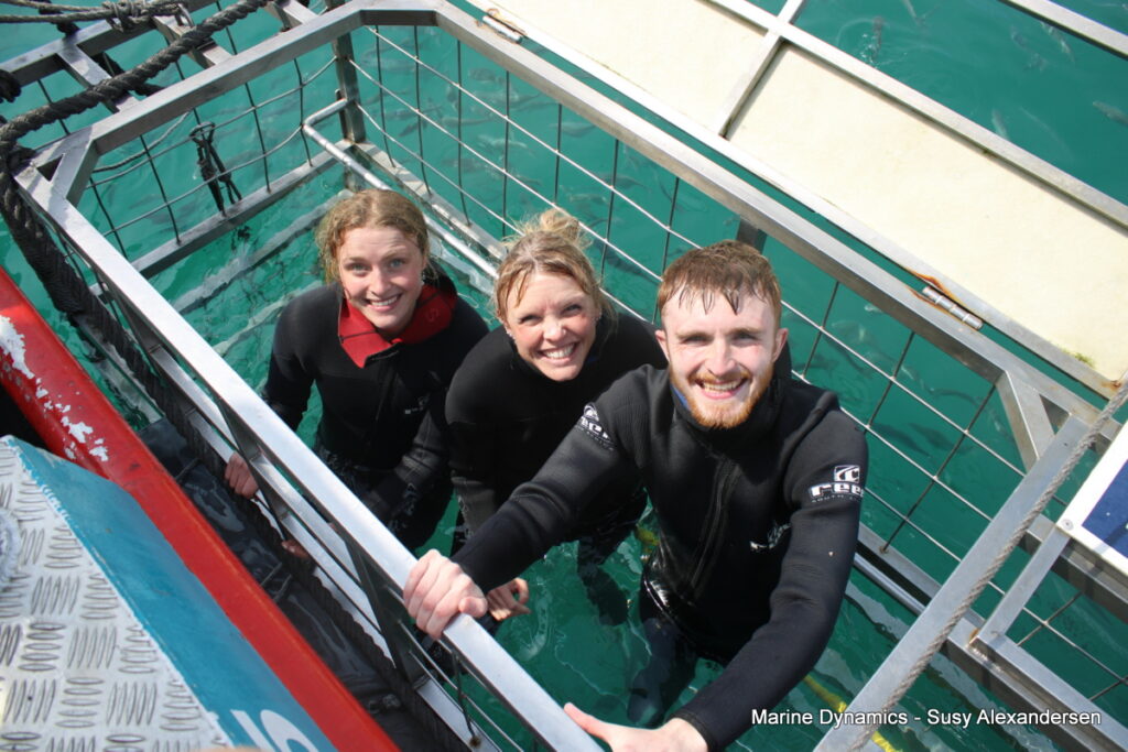 Shark cage diving, Gansbaai, South Africa