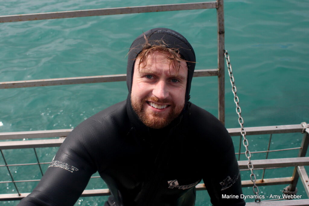 Shark cage diving, Gansbaai, South Africa