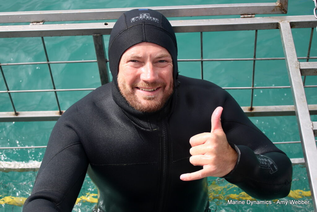 Shark cage diving, Gansbaai, South Africa