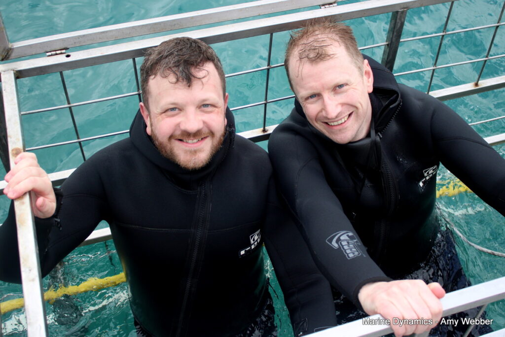 Shark cage diving, Gansbaai, South Africa