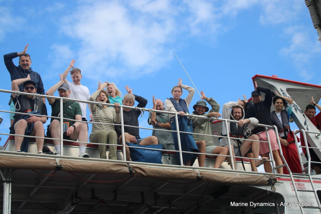 Shark cage diving, Gansbaai, South Africa