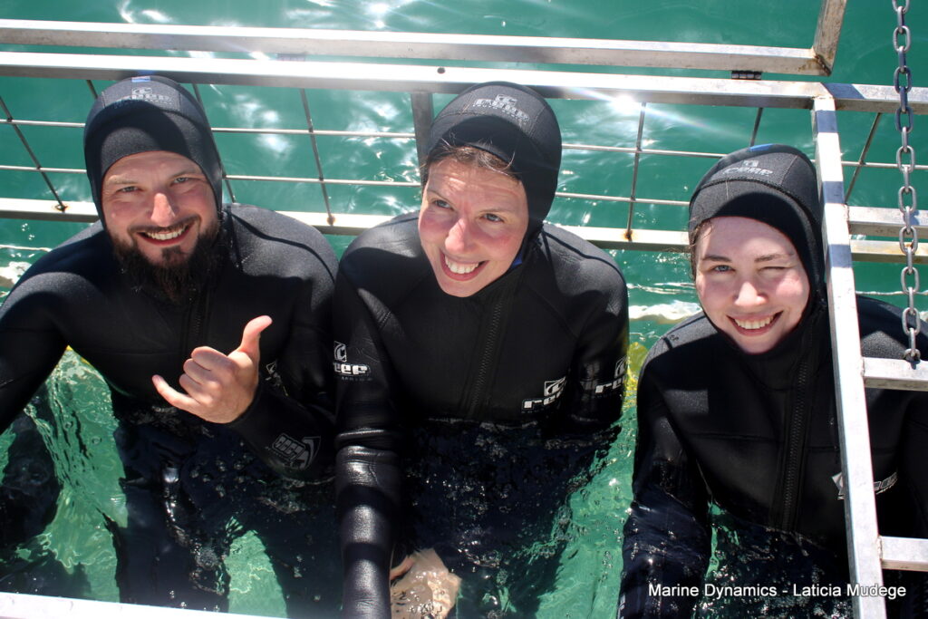 Shark cage diving, Gansbaai, South Africa