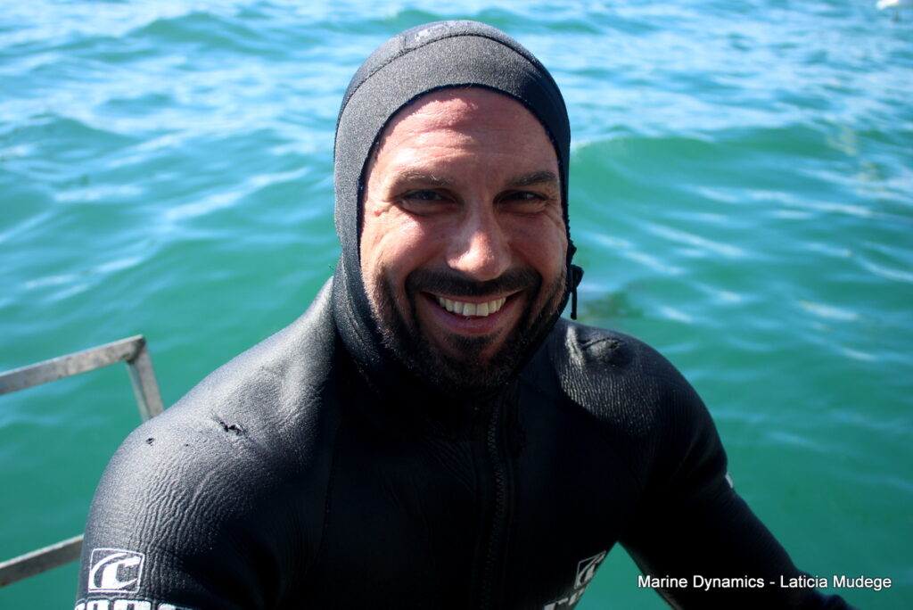 Shark cage diving, Gansbaai, South Africa