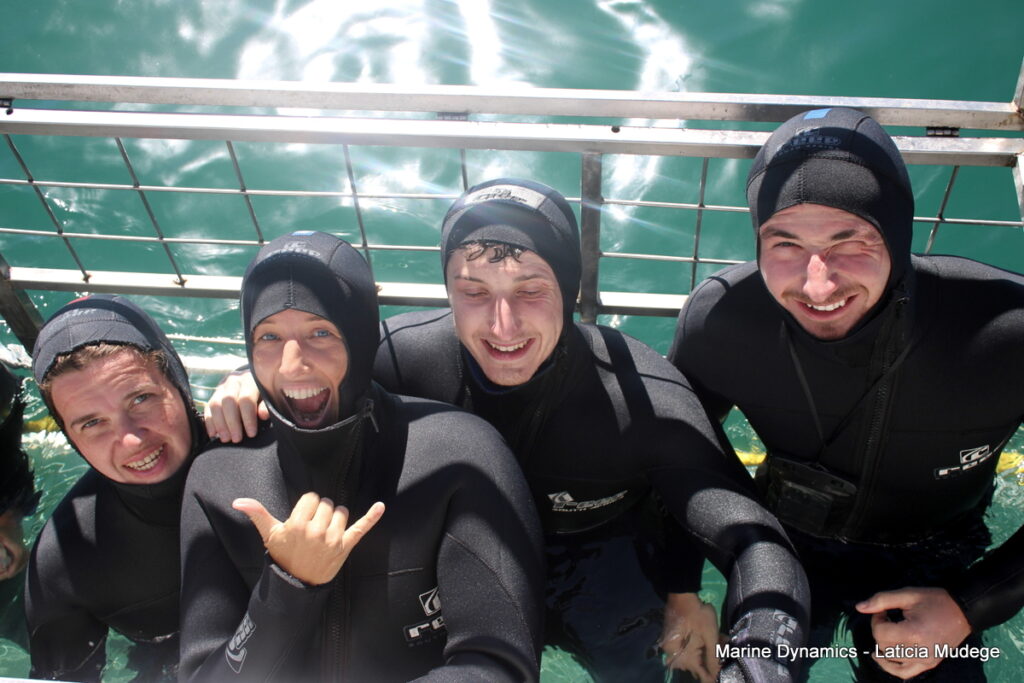 Shark cage diving, Gansbaai, South Africa