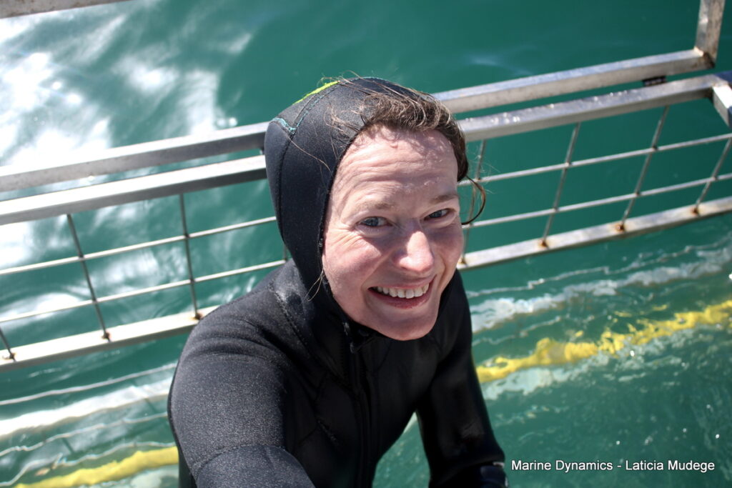 Shark cage diving, Gansbaai, South Africa