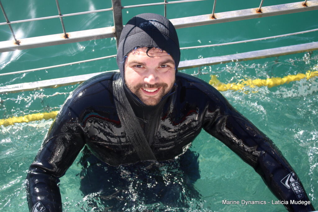 Shark cage diving, Gansbaai, South Africa