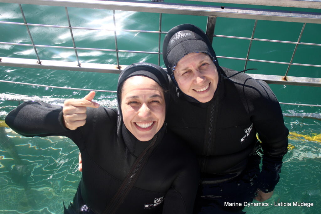 Shark cage diving, Gansbaai, South Africa