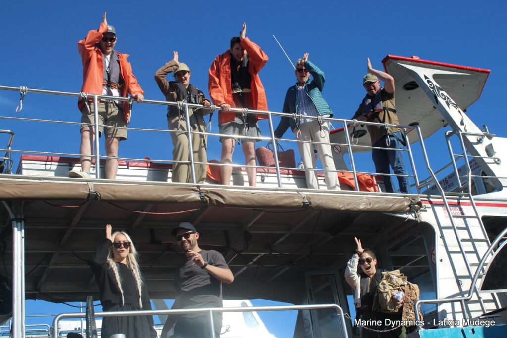 Shark cage diving, Gansbaai, South Africa
