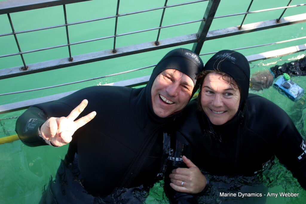 Shark cage diving, Gansbaai, South Africa