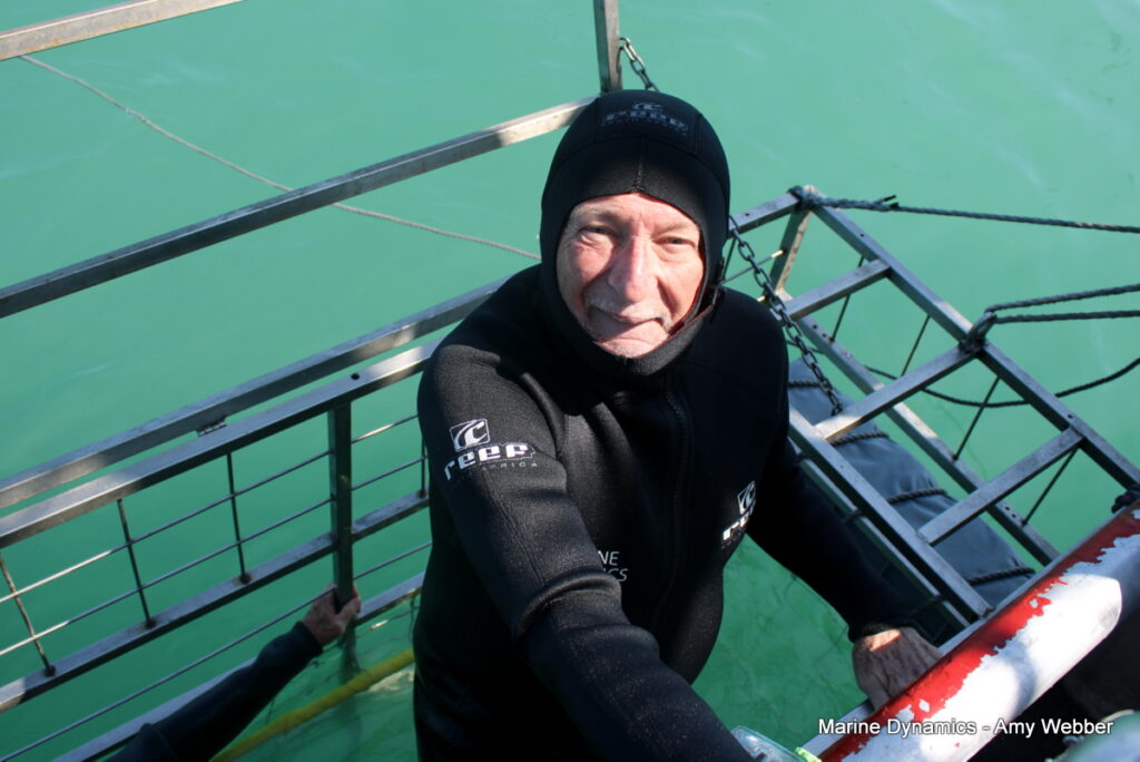 Shark cage diving, Gansbaai, South Africa