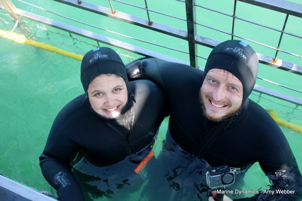 Shark cage diving, Gansbaai, South Africa