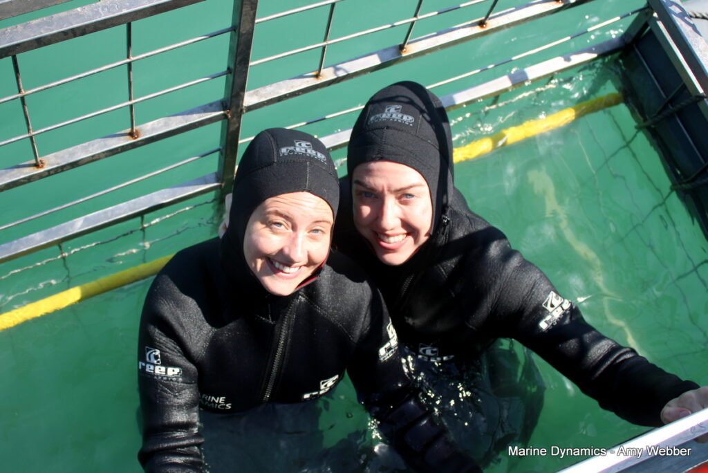 Shark cage diving, Gansbaai, South Africa