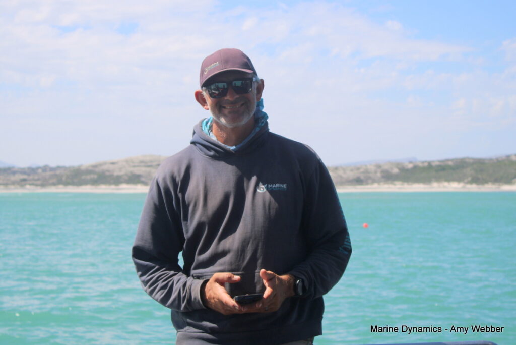 Shark cage diving, Gansbaai, South Africa