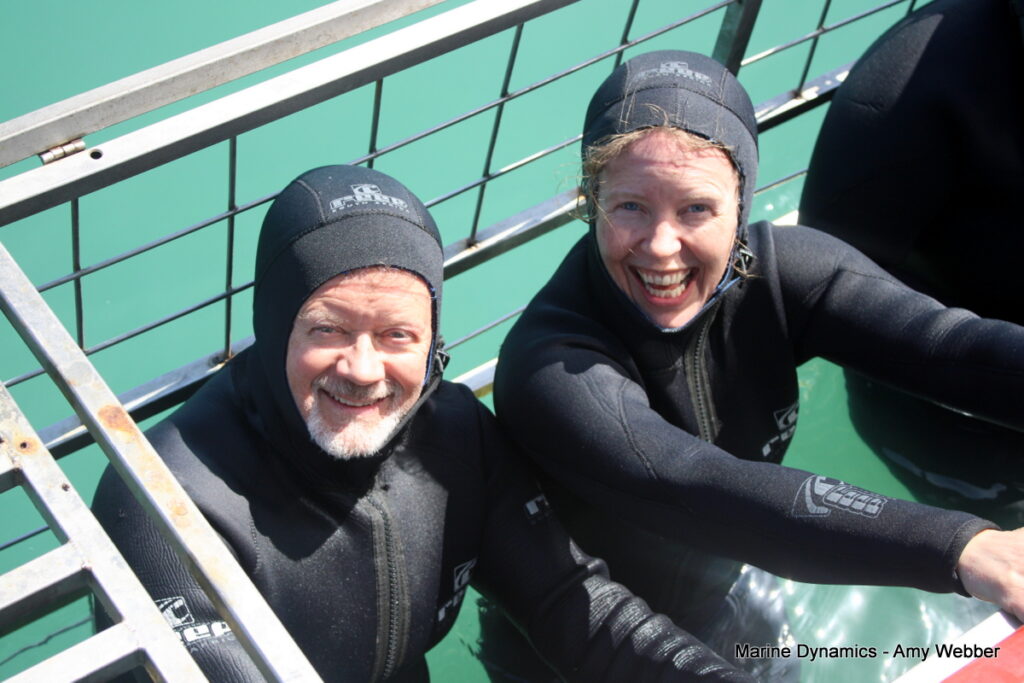 Shark cage diving, Gansbaai, South Africa