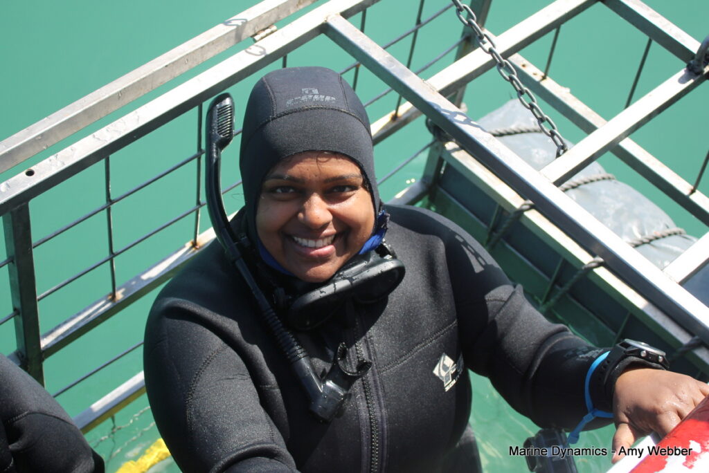 Shark cage diving, Gansbaai, South Africa