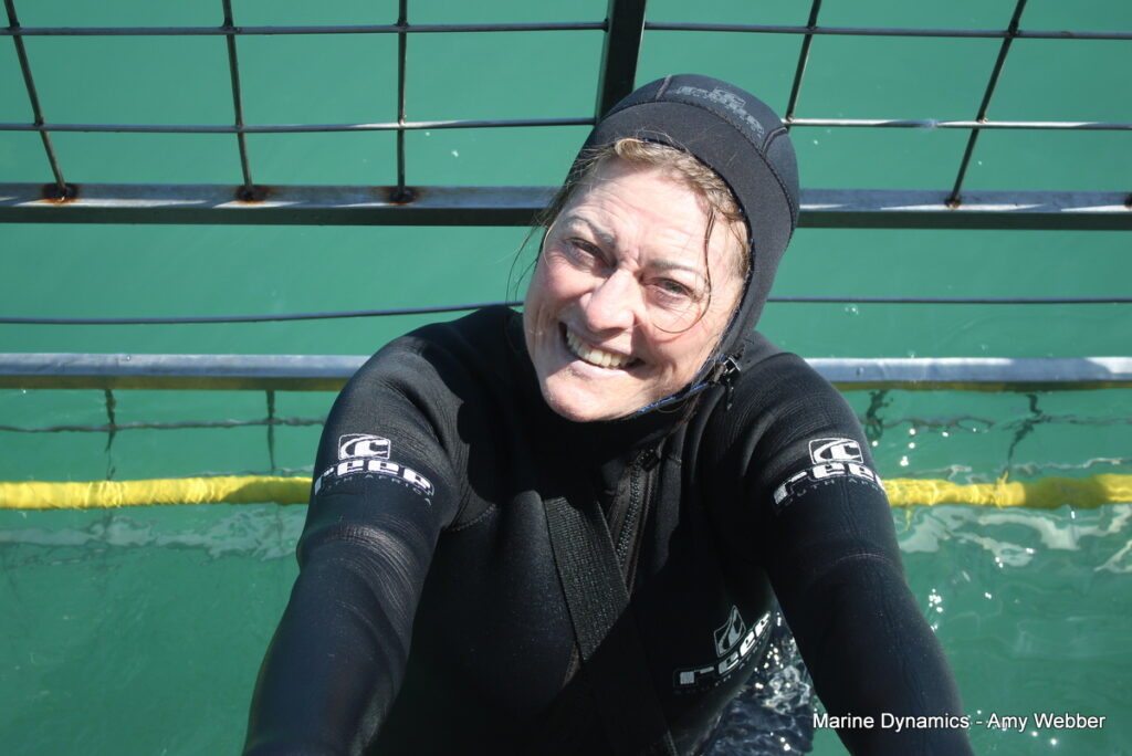 Shark cage diving, Gansbaai, South Africa