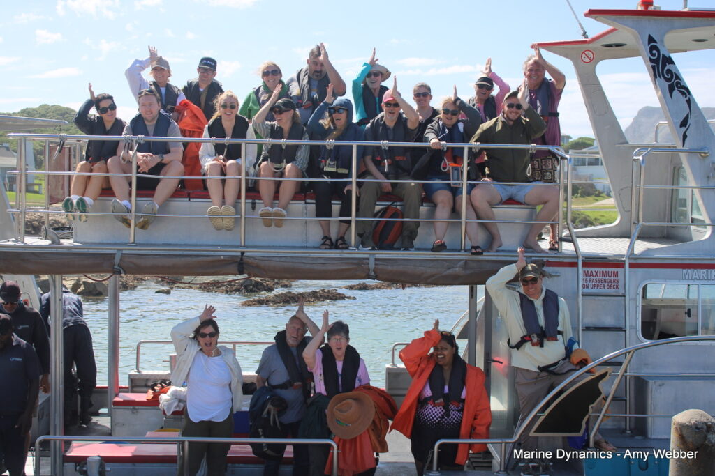 Shark cage diving, Gansbaai, South Africa