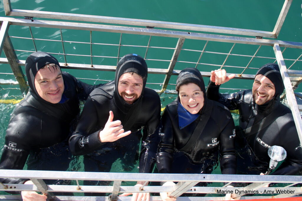 Shark cage diving, Gansbaai, South Africa