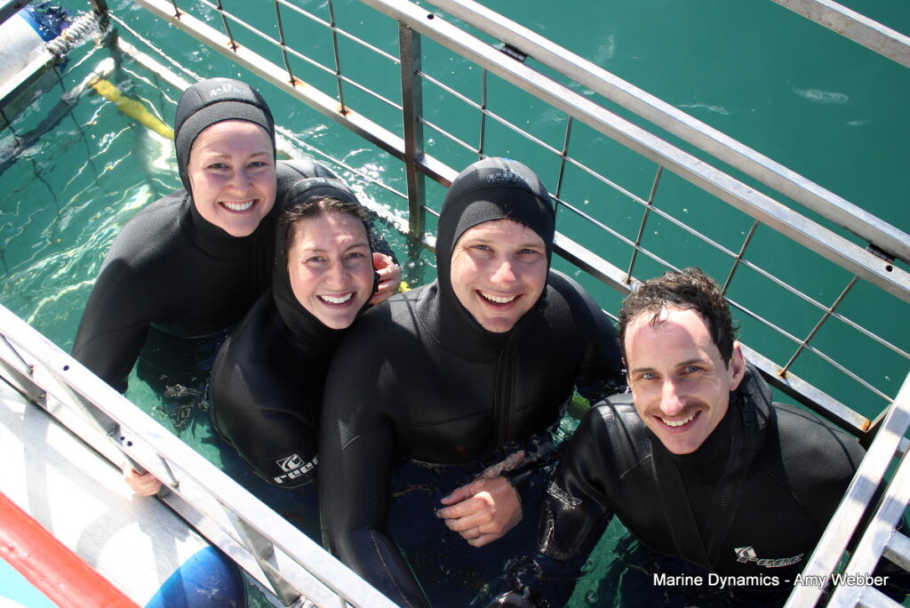 Shark cage diving, Gansbaai, South Africa