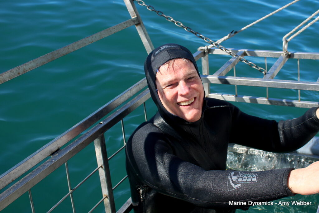 Shark cage diving, Gansbaai, South Africa