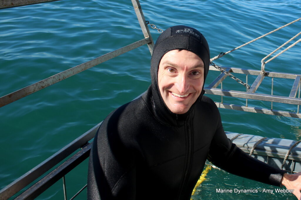 Shark cage diving, Gansbaai, South Africa