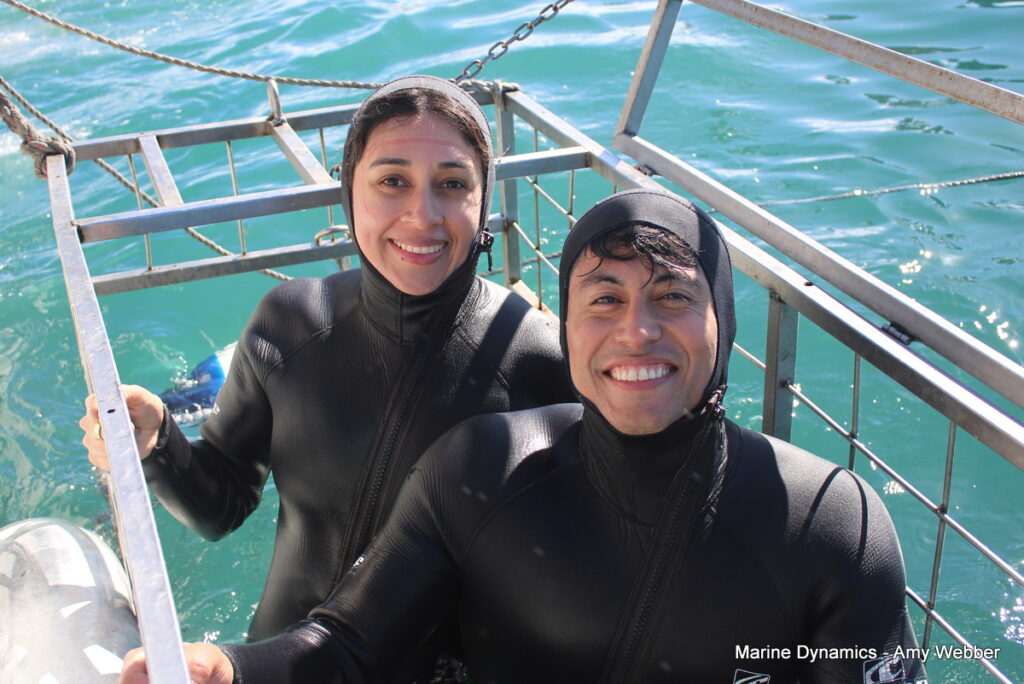 Shark cage diving, Gansbaai, South Africa